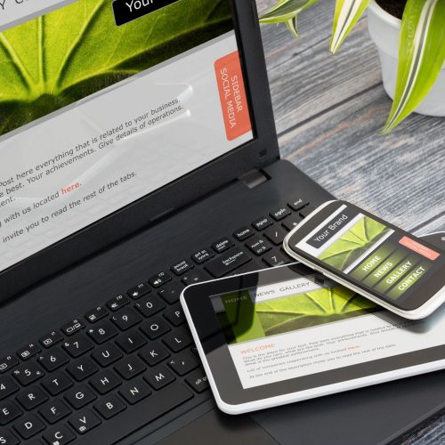 Web Design